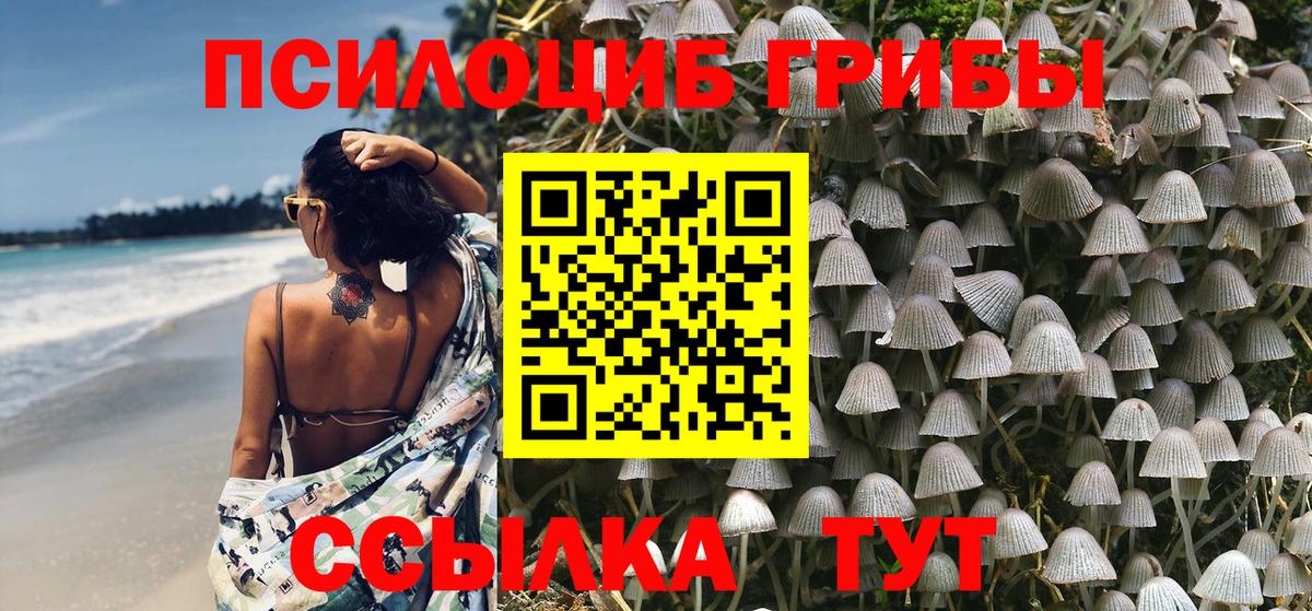 Жуковский  Псилоцибиновые грибы Psilocybine cubensis  Вход с VPN 